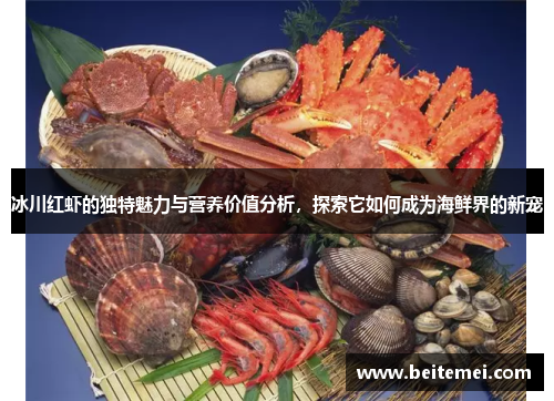 冰川红虾的独特魅力与营养价值分析,探索它如何成为海鲜界的新宠 冰川红虾的独特魅力与营养价值分析,探索它如何成为海鲜界的新宠